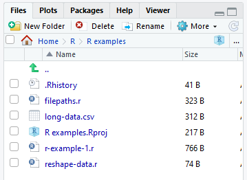 Screenshot showing RStudio files